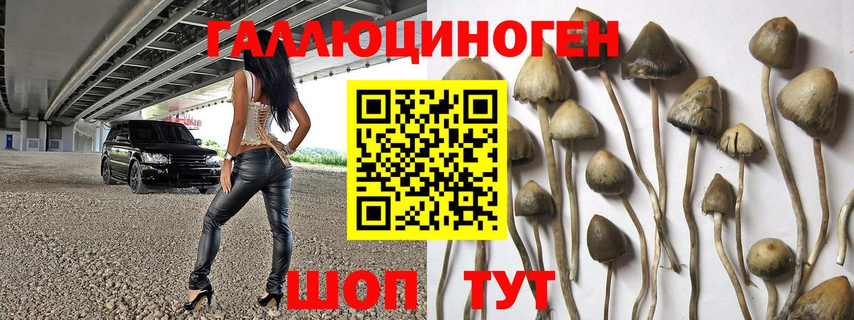 наркота  Галлюциногенные грибы MAGIC MUSHROOMS  Вход с VPN  Коммунар 