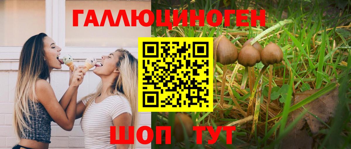 Галлюциногенные грибы прущие грибы Коммунар